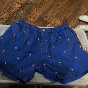 chubbies Christmas story leg light pattern Blue Shorts  Pattern